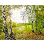 DIY t&auml;is&uuml;mmargune puur Teemantmaaling Mets Maastiku Mosaiik Tikand Ristpiste 20X30CM