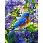 DIY teemanttikandid lind lill ristpistes teemantmaaling t&auml;isruudu/&uuml;mmarguse Animlas k&auml;sit&ouml;&ouml; kunst hobi kingitus kodukaunistus Full Round 20X30CM punane