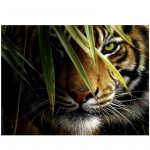 T&auml;is&uuml;mmargune/ruudukujuline 5D isetehtud teemantmaal, r&ouml;&ouml;vtiigri teemanttikandid ristpistekomplektid Kodukaunistused K&auml;sitsi valmistatud kingitused Round 20x30cm