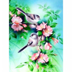 Teemantmaal 5d lind loom t&auml;isring puur Teemantkunst mosaiik ristpistes lilled k&auml;sit&ouml;&ouml; seinakunst Full Round 20x30CM
