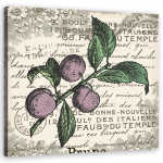 L&otilde;uendiprint Ploom vintage 30x30 lilla
