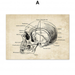 P&otilde;hjamaade plakatid ja v&auml;ljatr&uuml;kid Seinakunst, l&otilde;uendimaaling Anatoomia Skelett Vintage seinapildid haiglaarstide kontori sisekujunduseks A4 21x30cm No Frame