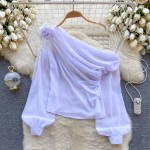 2024. aasta uus kevadine elegantne &otilde;huke kontoripluus Naiste viltune krae &otilde;lgadest Seksikad topid Naiste Prantsusmaa Soliidse moekujundusega &scaron;ifoonist topsid S aprikoosi