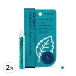Fresh Tok Tok Mini Edible Capsule Gargle Spearmint, 2 pieces, 840mg