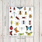 1 tk pisikeste putukatega ajutised t&auml;toveeringud, kehakleebiste komplekt, putukad, mardikad, putukate peo teened, s&uuml;nnip&auml;evapeo kingitused 1pc