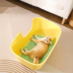 K&otilde;rgepoolsed kassiliivakastid, suur kraanikauss, kergesti puhastatav puurikassipott kassipoegadele, kollane