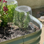 Aiataim Cloche Cover Maastikuprojekt Tugevad lilled Pottides metallist korduvkasutatav traat