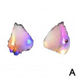 Kiivri kaunistus Armas koomiksikassi k&otilde;rvad Helendav v&auml;lklamp Eemaldatav mootorratta mootorratta kiivri lisatarvikud