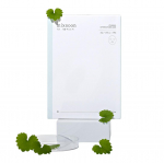 Mixsoon Centella Mask Pack &ndash; Soothing Sheet Mask for Sensitive Skin, Korean