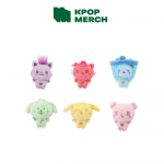 NCT WISH - Juhusliku v&auml;rvi Wish-nukk JAEHEE