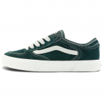 Vans Rowley Classic nahast mugavad vabaaja madala s&auml;&auml;rega rulakingad unisex tossud rohelised VN0A4BTTDRK 38