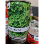 Canette A Pousse : Laitue roheline