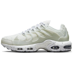 Nike Air Max Terrascape Plus valged Pure Platinum meeste tossud DQ3977-100 EU 40.5