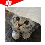 Kassi teemanttikandid 5D DIY teemantmaal ristpistes pilt t&auml;is&uuml;mmargune teemant 30x30