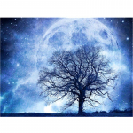 5D Teemanttikandid Teemantmaal Maastik Kuupuu Ristpistes Teemantmosaiik Kodukink 20X30CM