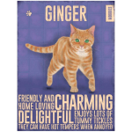 Les Tr&eacute;sors De Lily [R1129] - Magnet m&eacute;tal 'Chats' violet orange (Chat Roux - Ginger) - 9x6. 5 cm lilla