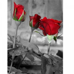 5D teemantmaaling Kolm punast roosi Pildid kividest lillede teemanttikandid Ristpistes mosaiikm&uuml;&uuml;k Kodukaunistus Seinakunst Full Round (20X30CM)