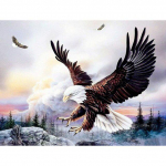 5D Teemantmaal Ristpistes Tee ise Teemantmosaiik Lendav Kotkas Teemanttikandid Loomapildid kivikividest K&auml;sitsi valmistatud kingitus Full Round 20x30CM