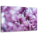 Feeby l&otilde;uenditr&uuml;kk, magnoolia &otilde;ied 60x40 lilla