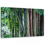 L&otilde;uenditr&uuml;kk Bamboo Forest Green 60x40 roheline