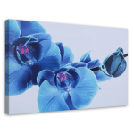 L&otilde;uenditr&uuml;kk Orchid Flowers Blue 60x40 sinine