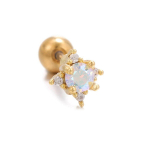 Uus disain roostevabast terasest tsirkoonist v&auml;ikesed k&otilde;rvar&otilde;ngad naiste geomeetria Helix Tragus k&otilde;hre t&auml;ht k&otilde;rvar&otilde;ngas augustamine ehteid 1tk