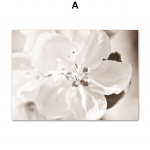 Beach Walk T&uuml;druk Kevadlill V&otilde;ilill Pilliroo linnud P&otilde;hjamaade plakatid Seinakunstitr&uuml;kk L&otilde;uendimaal Dekoorpildid elutuppa A4 21X30cm No Framed