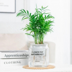 Loov isekastmiskomplekt h&uuml;dropoonilistele taimedele, plastikust eemaldatav lillepott, kontori bonsai dekor valge