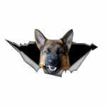 Vihane saksa lambakoer auto p&otilde;rkeraua aknakleebised veoautode kaubikutele moekleebised vin&uuml;&uuml;lmaterjalist kleebised 15cm-Longest Side