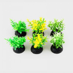 [Lemmikloom] 6 miniveetaime