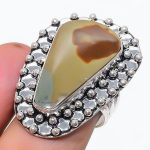 Natural Picture Jasper Gemstone 925 Sterling Silver Jewelry Ring Size 8 a8w67