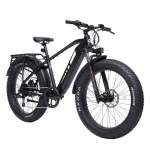Bodywel D6 Elektriiline m&auml;giratas 250W mootori ja 48V13.5AH akuga