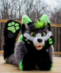 Roheline Hall Valge Pika Karvaga Husky Koer Rebane Lilla Sinine Maskoti Kost&uuml;&uuml;m Fursuit Halloweeni &Uuml;likond Cosplay J&otilde;ulud 150-170cm