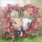 Teemanttikandid t&auml;is  Pig & Sweet Cherry  5D Teemantmaal Ristpistes Vaigust Teemant 30x30CM