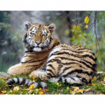 Teemantidega v&auml;rvimine Loom Tiiger Teemantmaal Teemanttikandid Ristpistes kivipilt 20X30CM