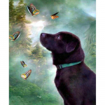 T&auml;ielik &uuml;mmargune 5D DIY teemantmaal, liblikas Womlabradori retriiver tikandid ristpistes 20X30CM