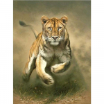 Teemanttikandid Loomade T&auml;is&uuml;mmargune 5D Teemantmaaling Teemantmosaiikdekoor 20X30CM