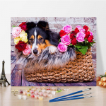 DIY v&auml;rvid numbrite j&auml;rgi &otilde;limaali komplekt L&otilde;uend DIY &otilde;limaal numbrite j&auml;rgi Seinakunsti kaunistused kodukinki kunstiks ja hobideks 40x50cm no frame