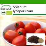 SAFLAX &ndash; Mahe &ndash; Tomat &ndash; Principe Borghese &ndash; 10 seemet &ndash; Potisubstraadiga paremaks kasvatamiseks &ndash; Solanum lycopersicum