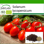 SAFLAX - Mahe - Tomat - Roma - 15 seemet - Potisubstraadiga paremaks kasvatamiseks - Solanum lycopersicum