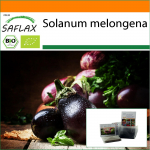 SAFLAX - Aed kotis - Orgaaniline - Baklažaan - Black Beauty - 25 seemet - Substraadiga sobivas p&uuml;stises kotis - Solanum melongena