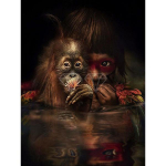 5D DIY Teemantmaali komplekt V&auml;rv Lill Loom Hobune Hunt Kass Tiiger T&auml;isruudukujuline ja &uuml;mmargune Tikand Mosaiik Ristpistes Kodukaunistus Full Round 20x25CM