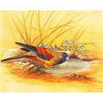 5D t&auml;isteemantmaaling lindude mosaiigist teemanttikandiga loomingulised seinamaalingud kingituseks Full Round 20x30CM