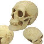 Les Tr&eacute;sors De Lily [A3296] &ndash; beež vaigust kujuke  Skull  (astroloogia) - 16 cm beež