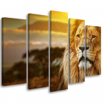 Viieosalise pildiga l&otilde;uendiprint Aafrika l&otilde;vi Aafrika Sawanna maastik 100x70 oranž