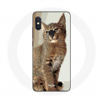 Koht Xiaomi Redmi Note 5 AI kahekaameraga siiami kassit&otilde;ugu jaoks