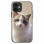 Loomad Naljakas armas kassi telefoni&uuml;mbris iPhone'ile 13 12 11 Pro XS MAX XR 8 7 6 6S Plus X 5S SE 2020 Shell iPhone XS Max