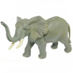 PAPO PRANTSUSMAA M&ouml;irgav elevant, Koreas populaarsed m&auml;nguasjad