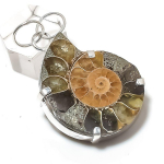 Natural Ammonite Fossil Gemstone 925 Sterling Silver Jewelry Pendant 2.01 a1u89