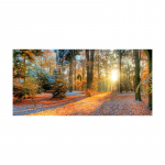 Loodusmaastiku seinakaunistus elutuppa, moodne metsast p&auml;ikeset&otilde;usu l&otilde;uendikunstitr&uuml;kk &ndash; magamistuba, kodukontor &ndash; ideaalne kingitus s&uuml;giseks 40x80cm